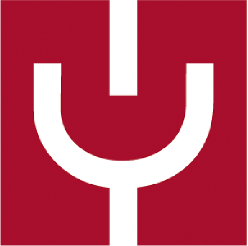 Yazdani Logo
